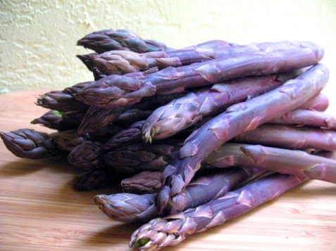 asparagas_purple-53