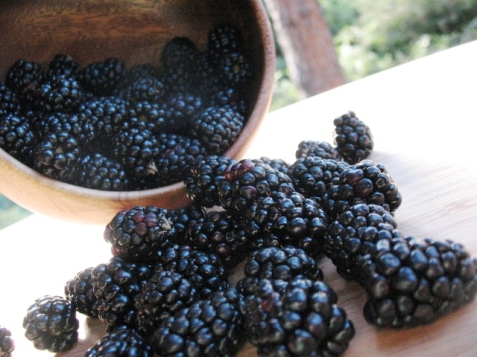 blackberries_-57