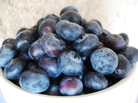 blueberries_bowl-2