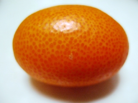 kumquats-11