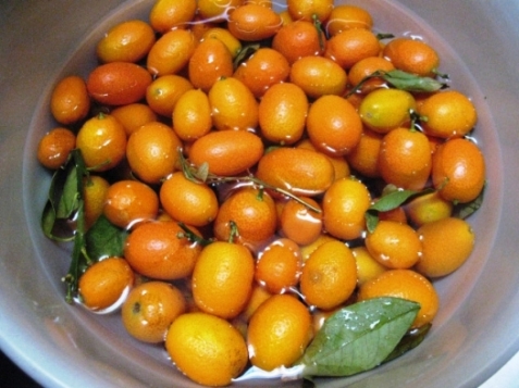 kumquats_bowl-copy