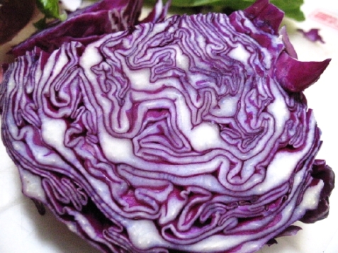purple-cabbage-2