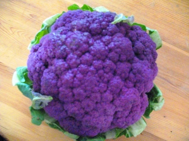 purple_cauliflower