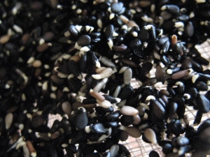 Black-sesame-seed_sprouts (4)