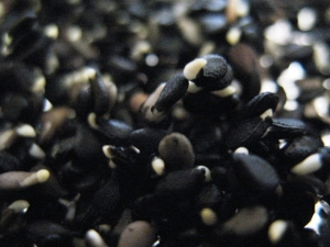 Black-sesame-seed_sprouts (9)