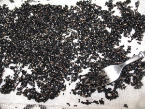 Black-Sesame_soaked_sprout_cheesecloth (3)